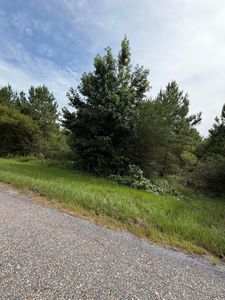PARCEL 2 R Thompson Rd, Lumberton, MS, 39455