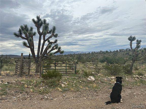 3rd image of 17741 N Needle Drive
