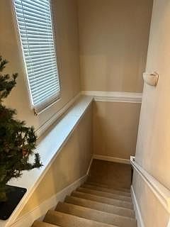 4th image of 801 Birch St