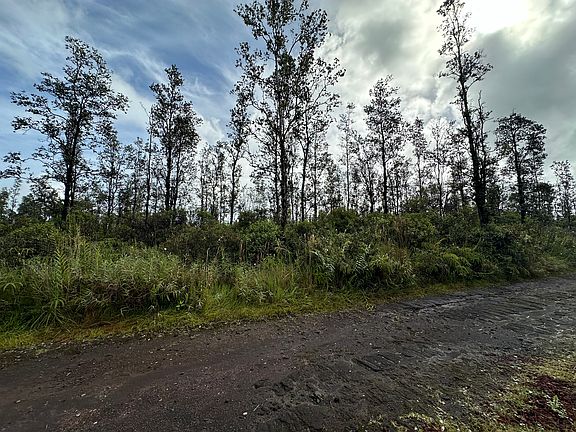 2nd image of Road 4 Kea #Io
