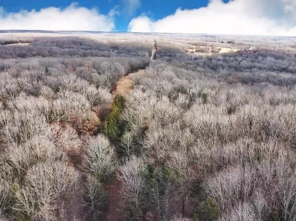 60 Ac Off, Cole Camp, MO 65325