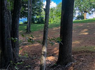 Tract 1 Black Mountain Rd, Pilot Mountain, NC 27041