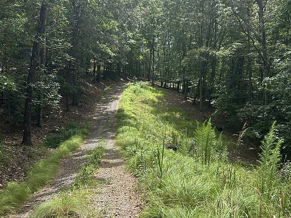 4th image of 1.5 Liberty Hill Rd