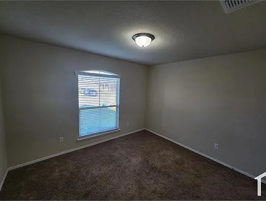 3217 Jackal Dr — Photo 22