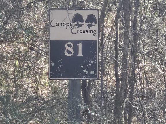 3rd image of 0 Canopy Oak Blvd