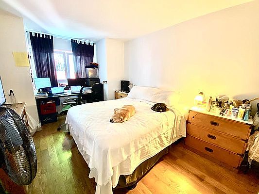 5th image of 396 Saint Marks Ave #1D