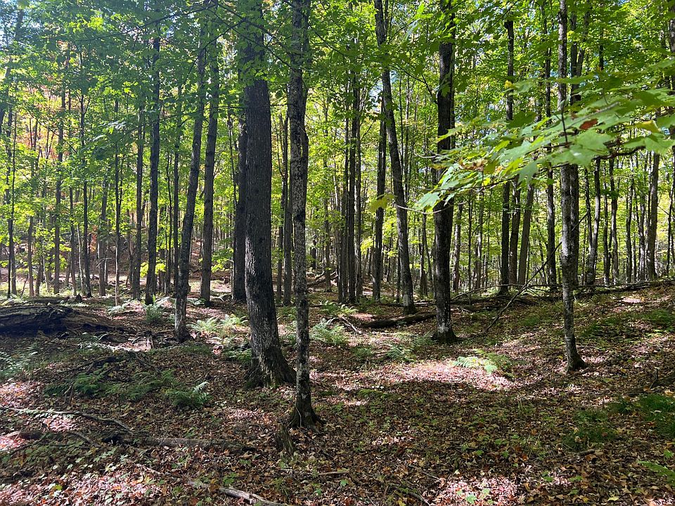 1st image of Otter Ln Lot 2