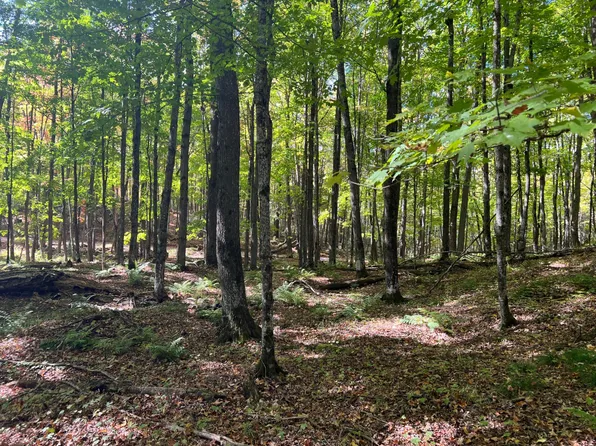 Otter Ln Lot 2, Watersmeet, MI 49969