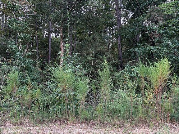 2nd image of 15223 Forest Grove Dr Lot 15