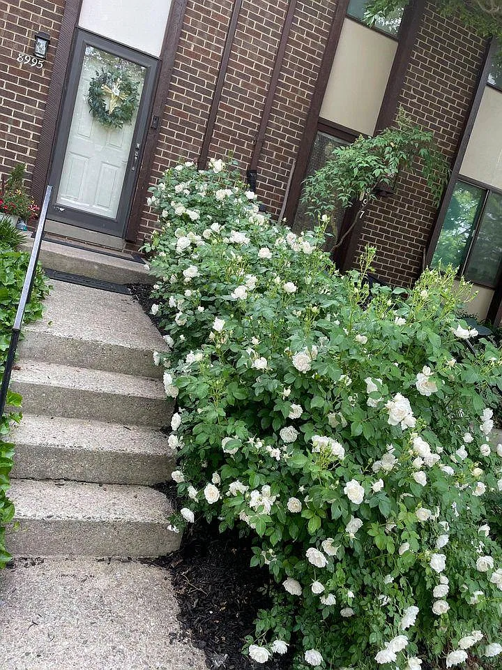 8995 Watchlight Ct — Photo 1