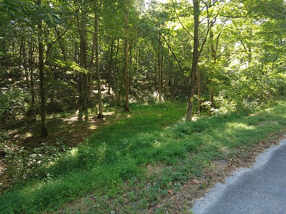 3rd image of 16 Black Hollow Rd