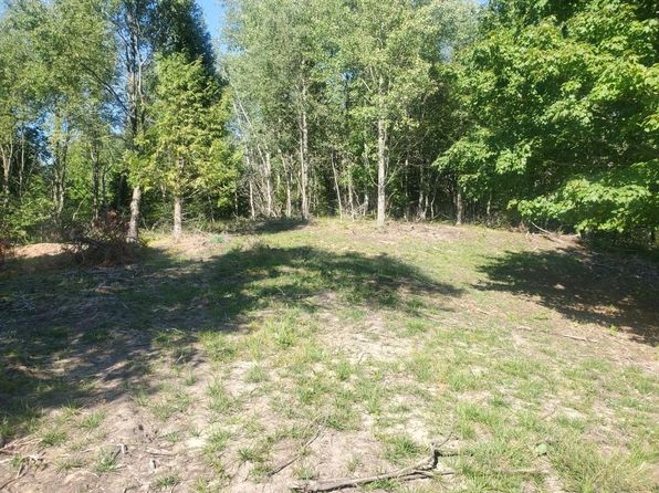 PARCEL Lake Bluff Rd #A, Arcadia, MI 49613