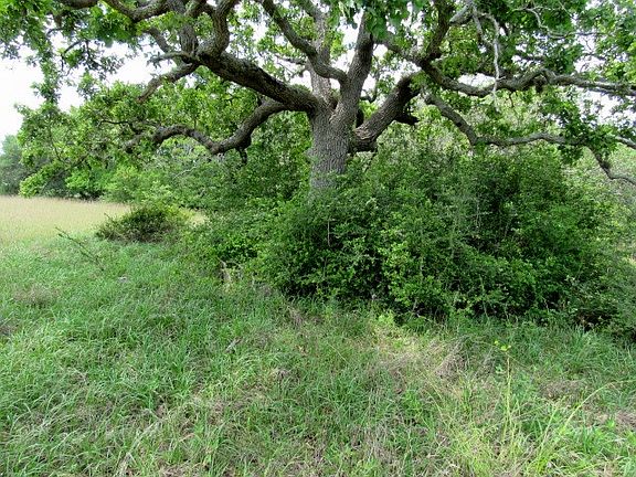 5th image of Lot 2 River Hollow Way