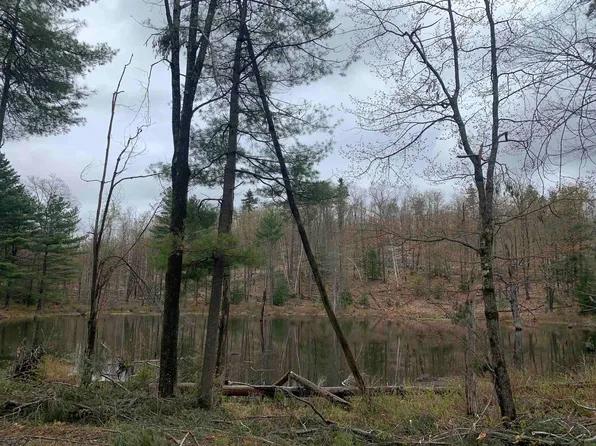 Map 52 Lot 2A Pratt Road, Alstead, NH 03602