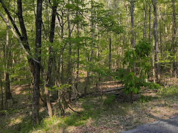 0 Country Rd #818-819-821, Warrior, AL 35180