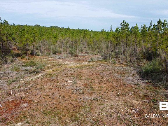 2nd image of 26641 Linholm Rd