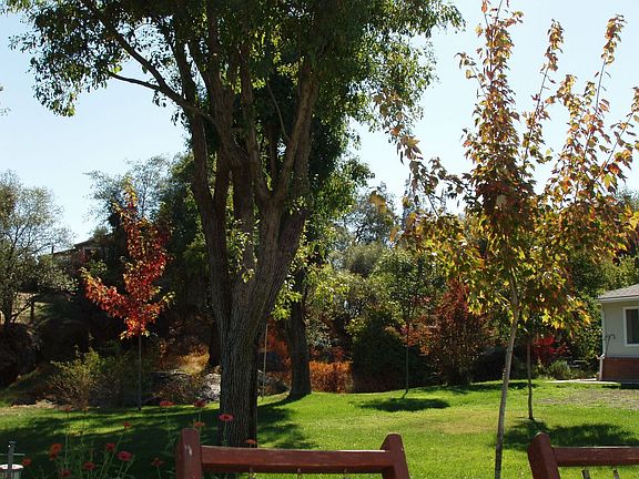 Partial view of backyard