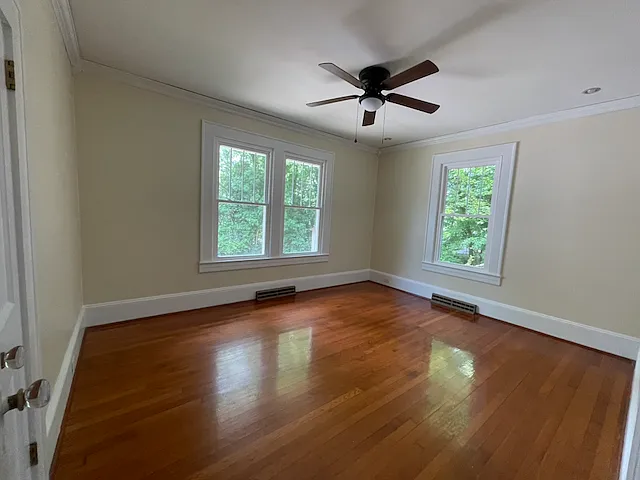 255 S Sunset Dr — Photo 8