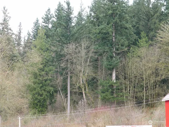 16749 Mountain View Road, Mount Vernon, WA 98274