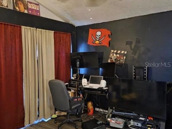 tampa-florida-45036666 picture