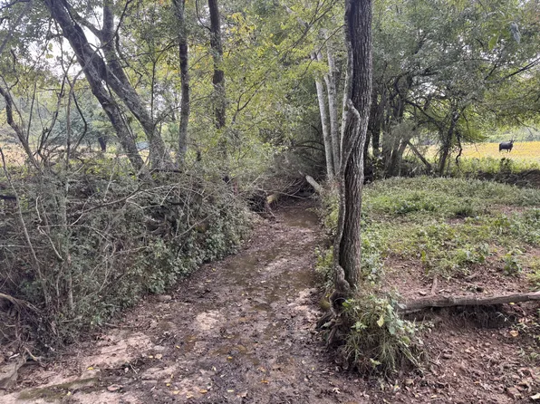 0 Fuss Hollow Rd, Petersburg, TN 37144