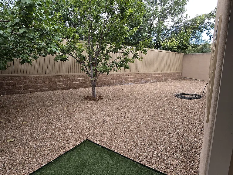 Backyard