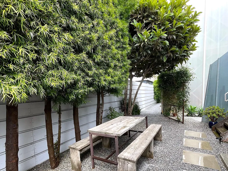 Private garden area. Loquat tree and crushed gravel ground.