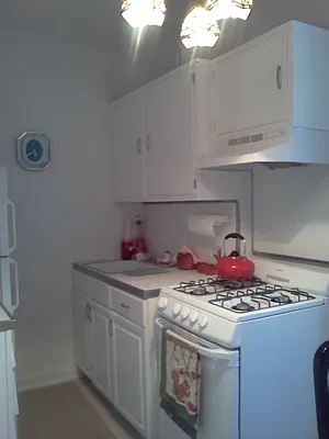 Sold by Queens Real Estate Team | media 11