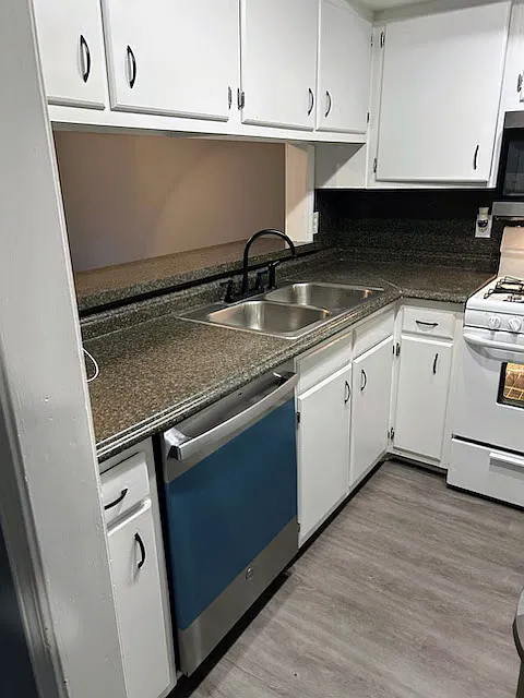 Double bowl ss sink with decorator faucet - 787 Barnes Mill Trce #787