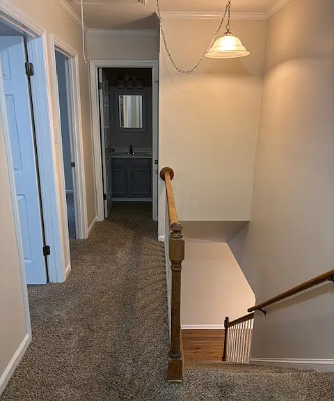 1214 Ash Cir — Photo 20