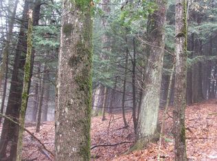 0 Vidler Rd, West Edmeston, NY 13485