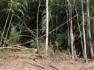 63 Lonesome Dove Ln, Whittier, NC 28789