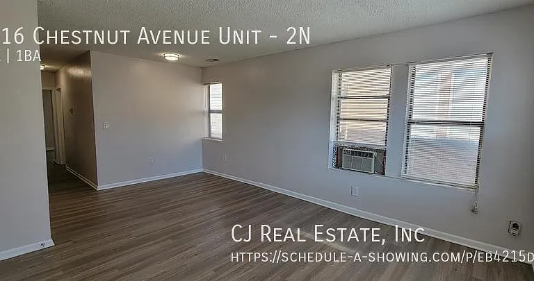 1016 Chestnut Ave #2N — Photo 3