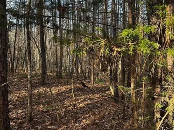 Bagwell Dr, Scottsburg, VA 24589