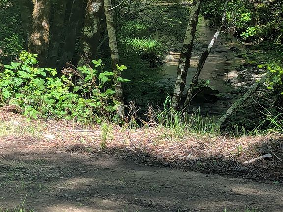 2nd image of 0 Skaggs Springs Road
