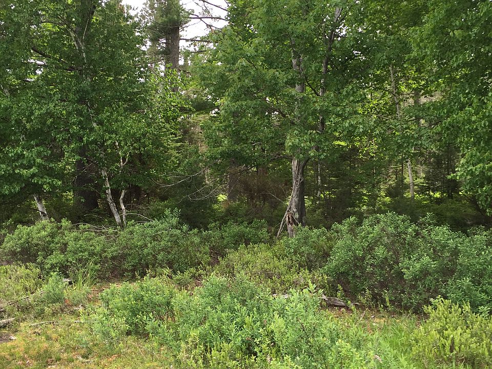 2nd image of County Rd #442