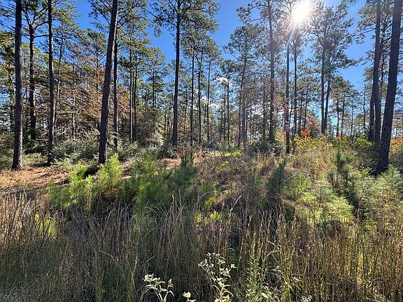 5th image of LOT 54 Private Road 6028