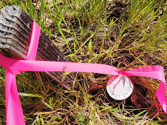 3rd image of 0 Placer Rd