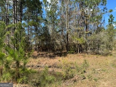 TRACT 86 Bertran Trl, Waycross, GA, 31503