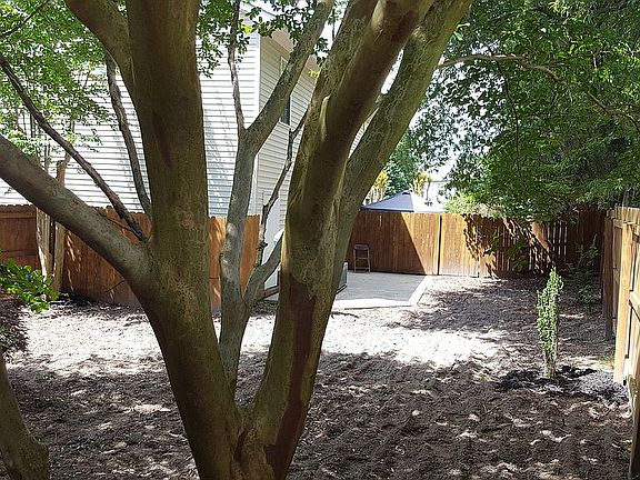 back yard
