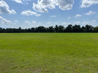 NW Loper Plantation Rd, Madison, FL, 32340