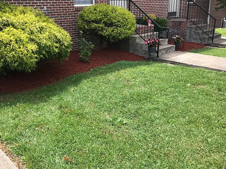 220 Pepperhill Dr — Photo 13