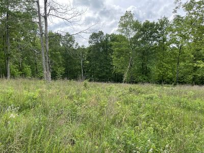 208 W Richview Rd, Cumberland City, TN, 37050