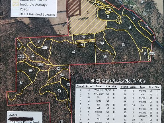 5th image of Lower Ravine Rd #4