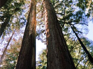 54584 Ponderosa Dr #28, Springville, CA 93265