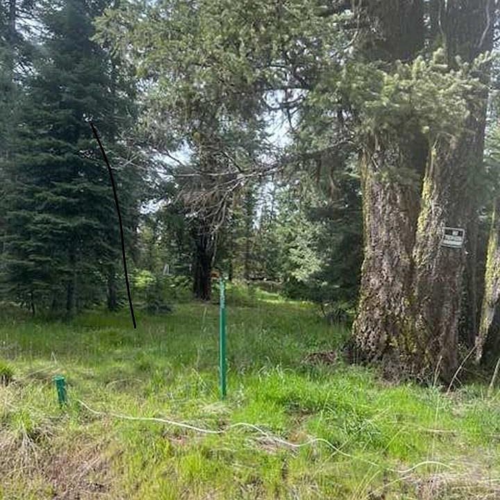 1st image of 2195 Davy Rd