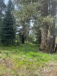 2195 Davy Rd, Donnelly ID - Owner Finance Home