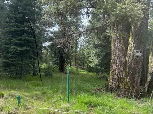 2195 Davy Rd, Donnelly, ID 83615
