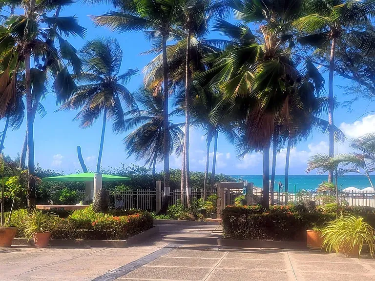 4745 Avenue Isla Verde #9L — Photo 43