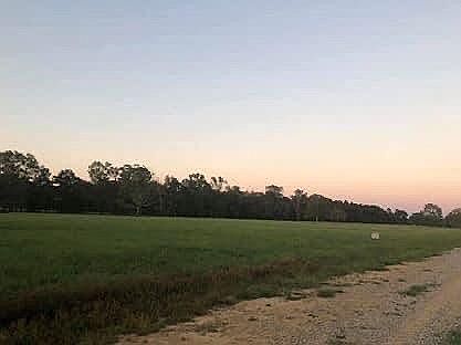 3rd image of Critter Cove Ln